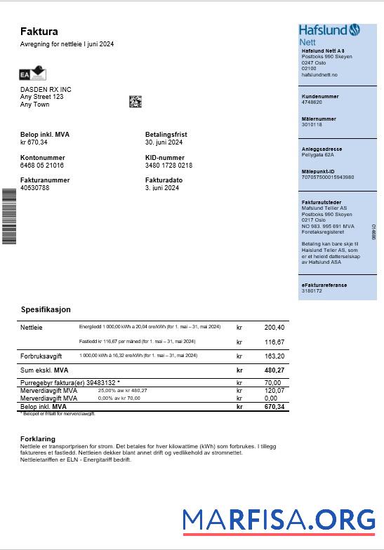 Printable Norway Hafslund business utility bill Word and PDF template